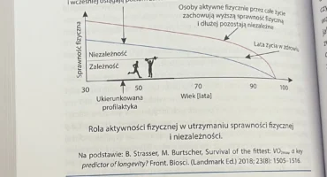 ALT 1: Trener personalny Warszawa prowadzący trening siłowy dla osób 30–50 lat nastawiony na długowieczność i zdrowe starzenie. ALT 2: Trener personalny Warszawa pracujący z podopiecznym podczas treningu siłowego w studiu Body Movement Mokotów. ALT 3: Odpowiednio dobrany trening kondycyjny prowadzony przez trenera personalnego Warszawa w studiu Body Movement. ALT 4: Trening siłowy 1:1 – trener personalny Warszawa wspiera poprawę sprawności i mobilności. ALT 5: Mężczyzna po 40 roku życia wykonujący ćwiczenia pod okiem trenera personalnego Warszawa. ALT 6: Trening dla osób pracujących siedząco – trener personalny Warszawa koryguje technikę ćwiczeń. ALT 7: Studio treningu personalnego Body Movement Warszawa – Mokotów i Ursynów. ALT 8: Trener personalny Warszawa prowadzi trening ukierunkowany na poprawę zdrowia i wydolności. ALT 9: Zestaw ćwiczeń siłowych wykonywany w kameralnym studiu Body Movement pod okiem trenera personalnego Warszawa. ALT 10: Trening siłowy i kondycyjny jako element profilaktyki długowieczności – trener personalny Warszawa Body Movement.