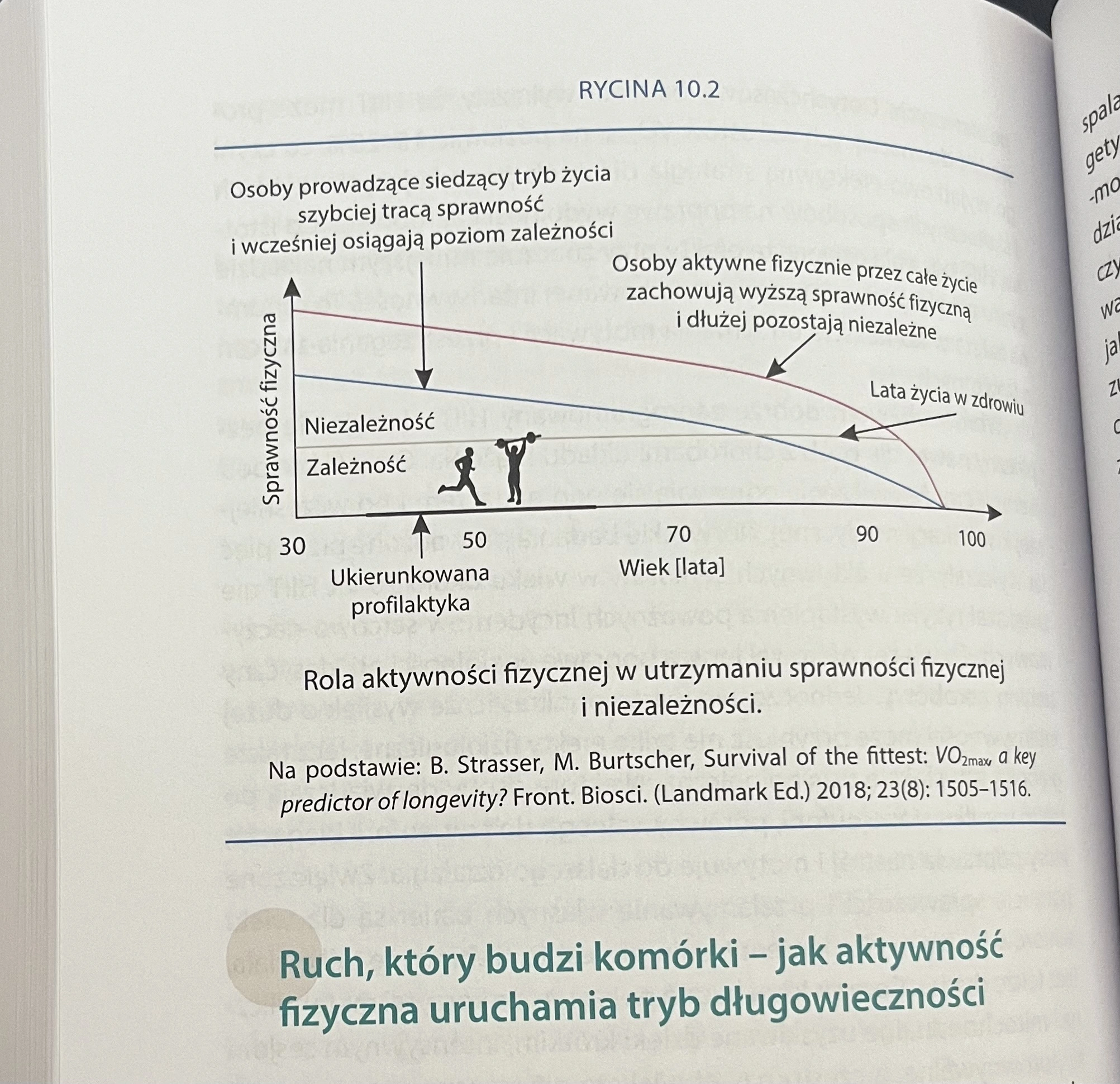 ALT 1: Trener personalny Warszawa prowadzący trening siłowy dla osób 30–50 lat nastawiony na długowieczność i zdrowe starzenie. ALT 2: Trener personalny Warszawa pracujący z podopiecznym podczas treningu siłowego w studiu Body Movement Mokotów. ALT 3: Odpowiednio dobrany trening kondycyjny prowadzony przez trenera personalnego Warszawa w studiu Body Movement. ALT 4: Trening siłowy 1:1 – trener personalny Warszawa wspiera poprawę sprawności i mobilności. ALT 5: Mężczyzna po 40 roku życia wykonujący ćwiczenia pod okiem trenera personalnego Warszawa. ALT 6: Trening dla osób pracujących siedząco – trener personalny Warszawa koryguje technikę ćwiczeń. ALT 7: Studio treningu personalnego Body Movement Warszawa – Mokotów i Ursynów. ALT 8: Trener personalny Warszawa prowadzi trening ukierunkowany na poprawę zdrowia i wydolności. ALT 9: Zestaw ćwiczeń siłowych wykonywany w kameralnym studiu Body Movement pod okiem trenera personalnego Warszawa. ALT 10: Trening siłowy i kondycyjny jako element profilaktyki długowieczności – trener personalny Warszawa Body Movement.